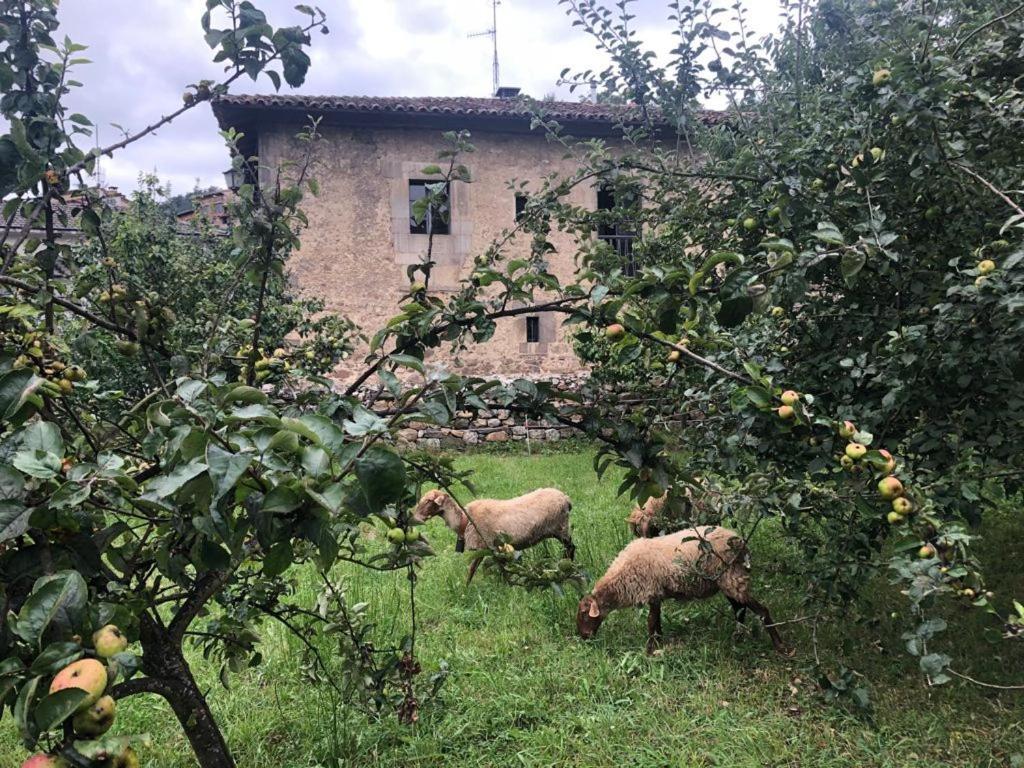 La Casona Del Xerron Βίλα El Condado Εξωτερικό φωτογραφία
