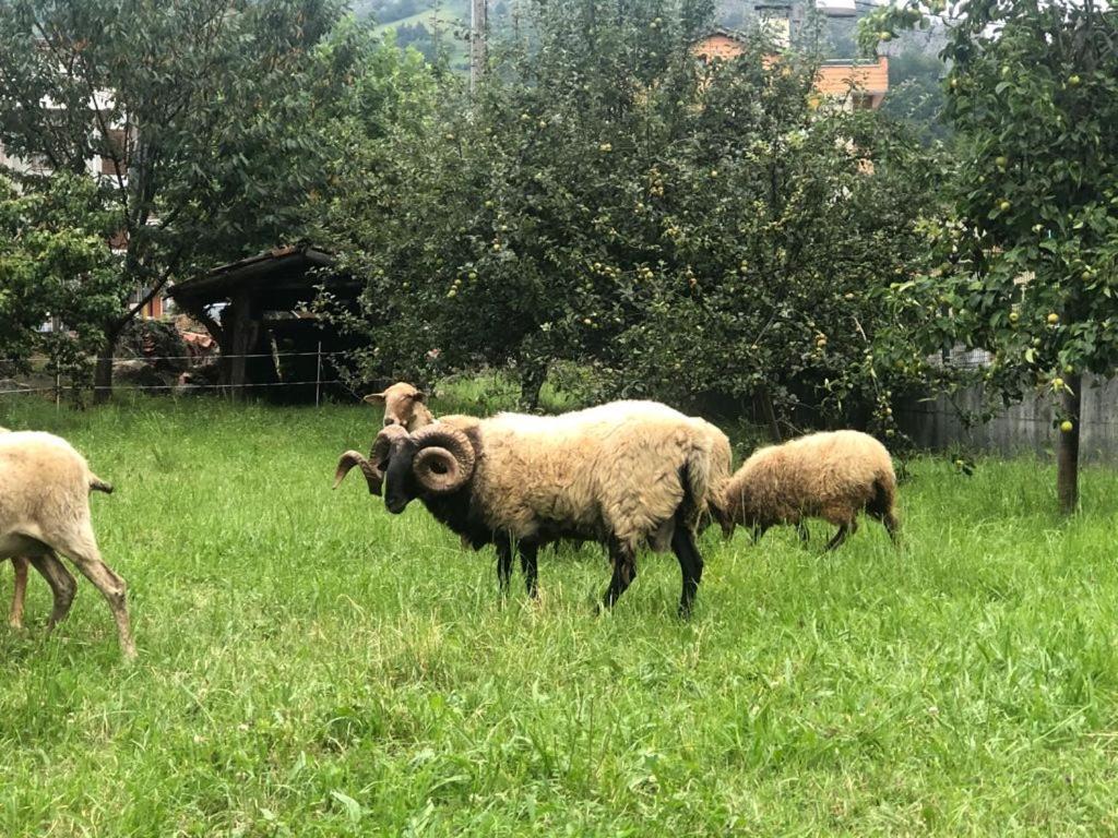 La Casona Del Xerron Βίλα El Condado Εξωτερικό φωτογραφία